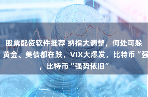 股票配资软件推荐 纳指大调整，何处可躲？道指、黄金、美债都在跌，VIX大爆发，比特币“强势依旧”