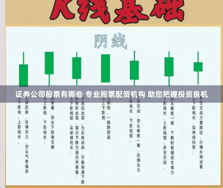 证券公司股票有哪些 专业股票配资机构 助您把握投资良机
