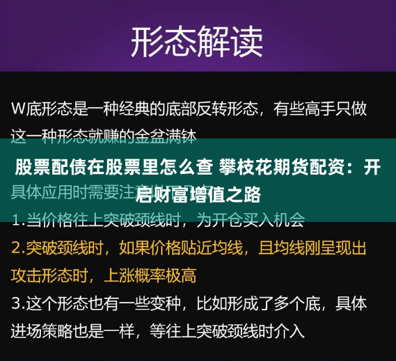股票配债在股票里怎么查 攀枝花期货配资：开启财富增值之路