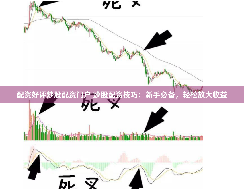 配资好评炒股配资门户 炒股配资技巧：新手必备，轻松放大收益